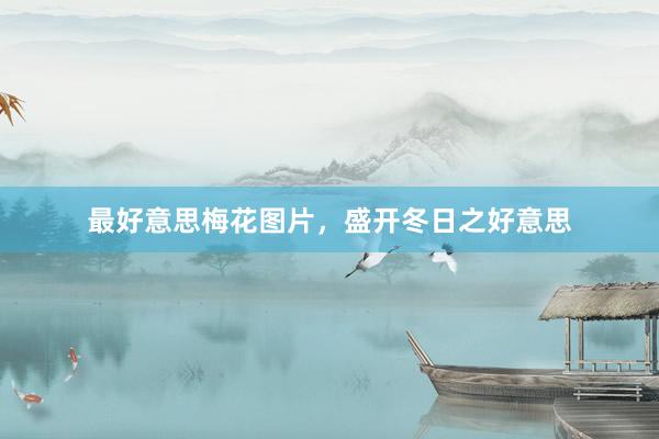 最好意思梅花图片，盛开冬日之好意思